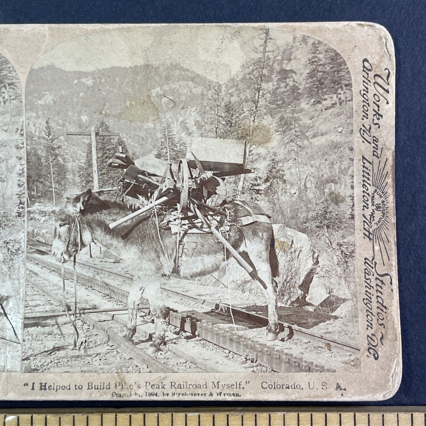 Donkey Hauls Mining Equipment Stereoview Pikes Peak Colorado Antique c1894 Y1165