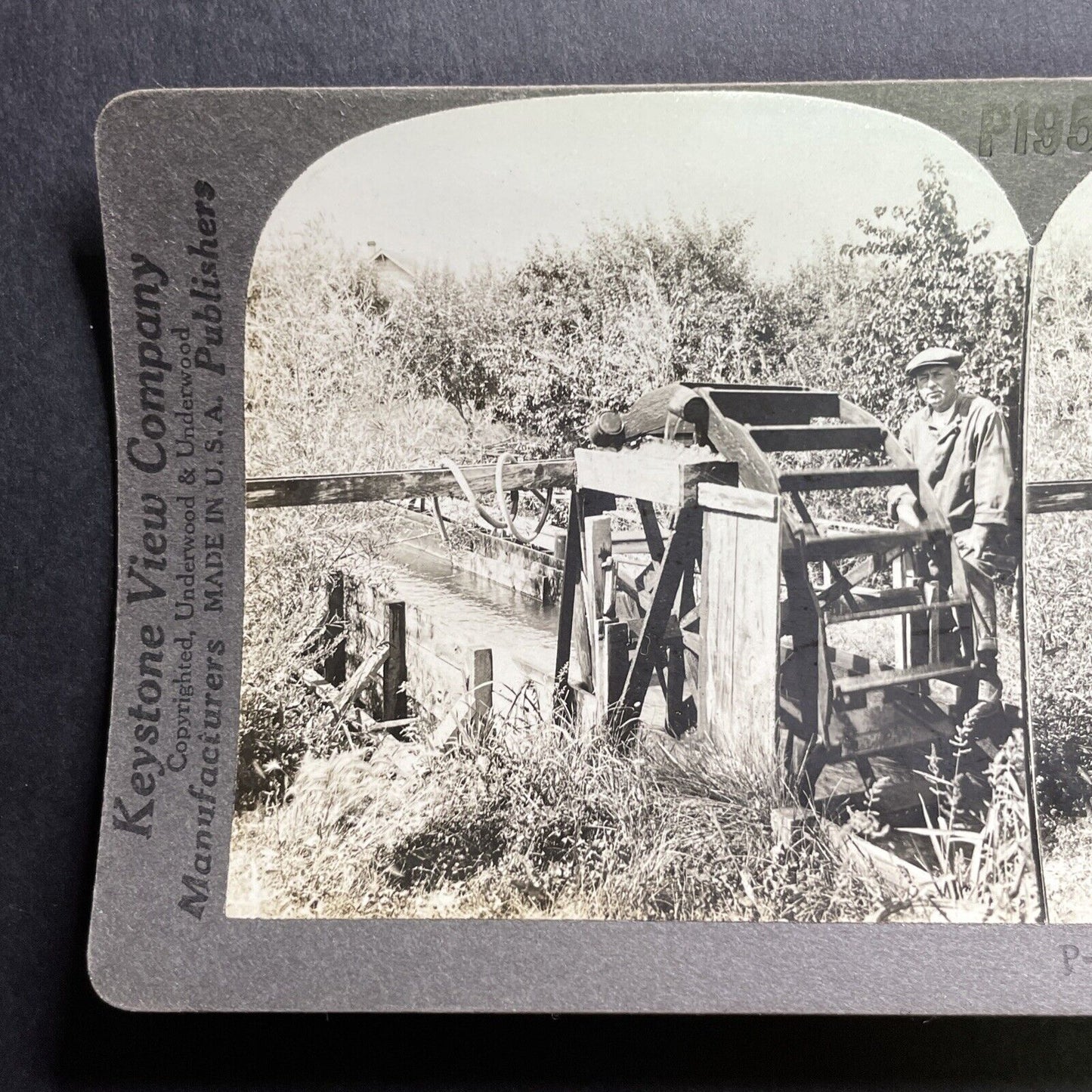 Antique 1909 Irrigation On Apple Farm Washington Stereoview Photo Card P1779