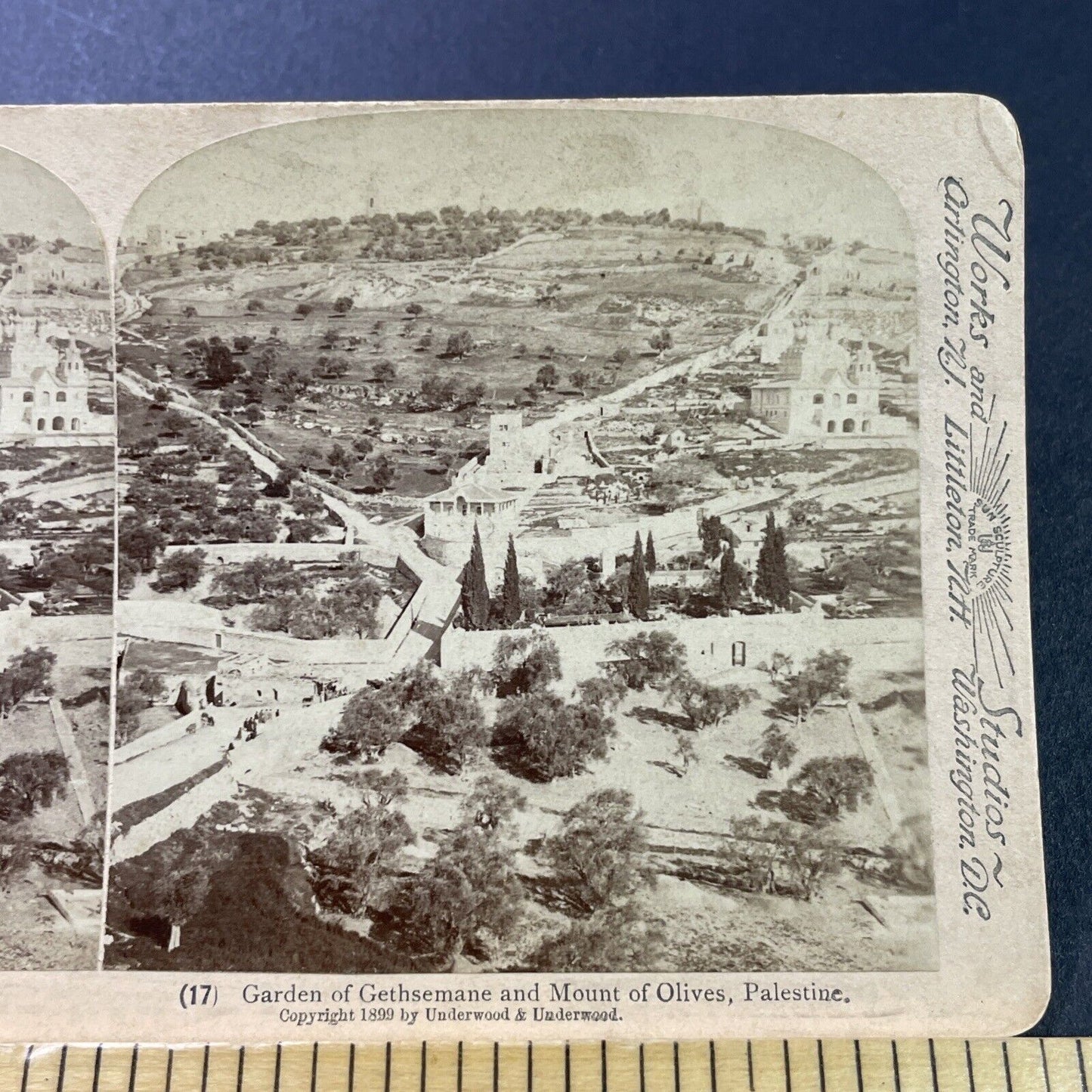 Antique 1899 Garden Of Gethsemane Jerusalem Israel Stereoview Photo Card P3907