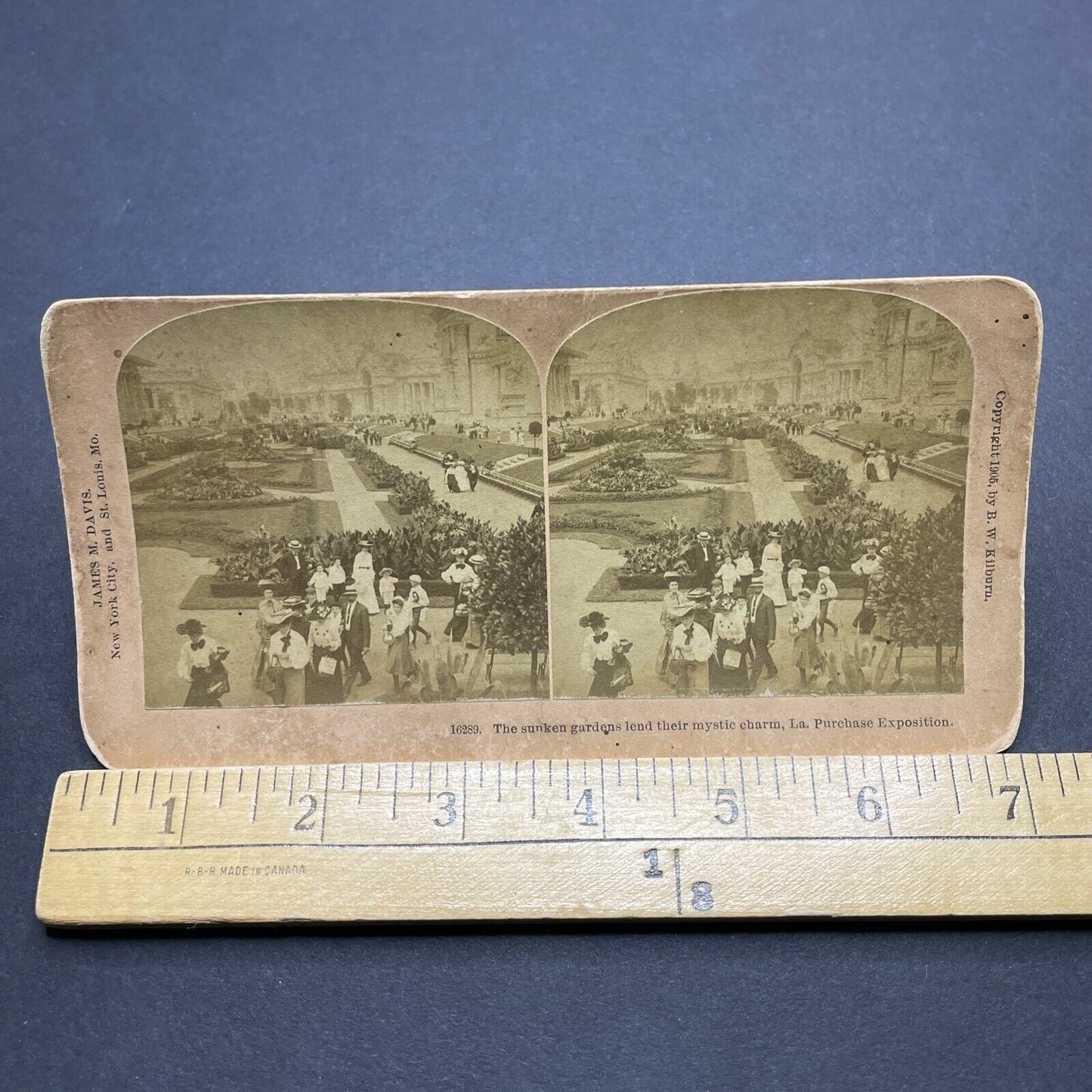 Antique 1905 Louisiana Purchase Exposition St. Louis Stereoview Photo Card P1845