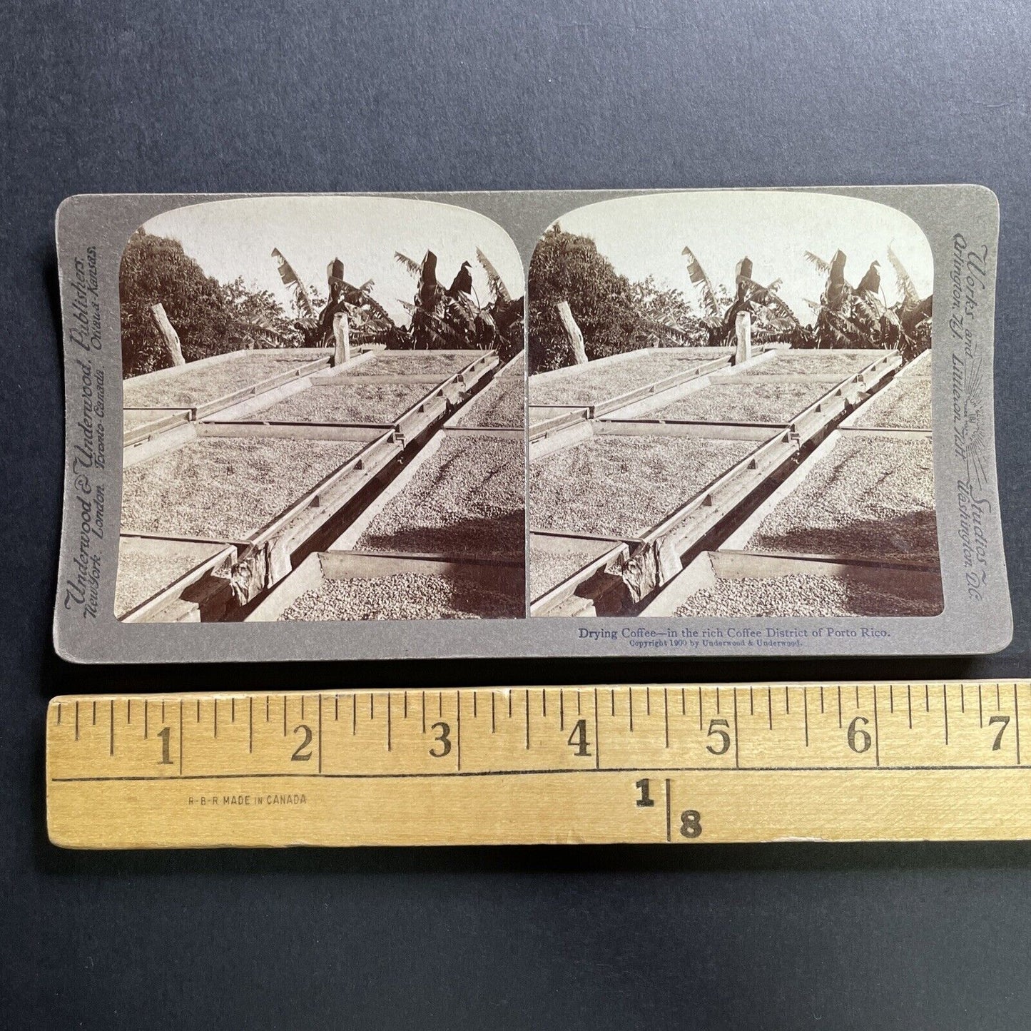 Antique 1900 Drying Coffee Beans In Puerto Rico Stereoview Photo Card P1720