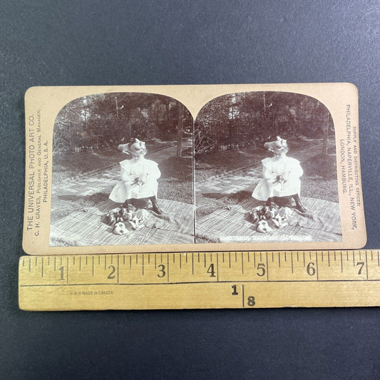 Girl With Beagle Dog Puppies Stereoview CH Graves Antique c1896 X1528