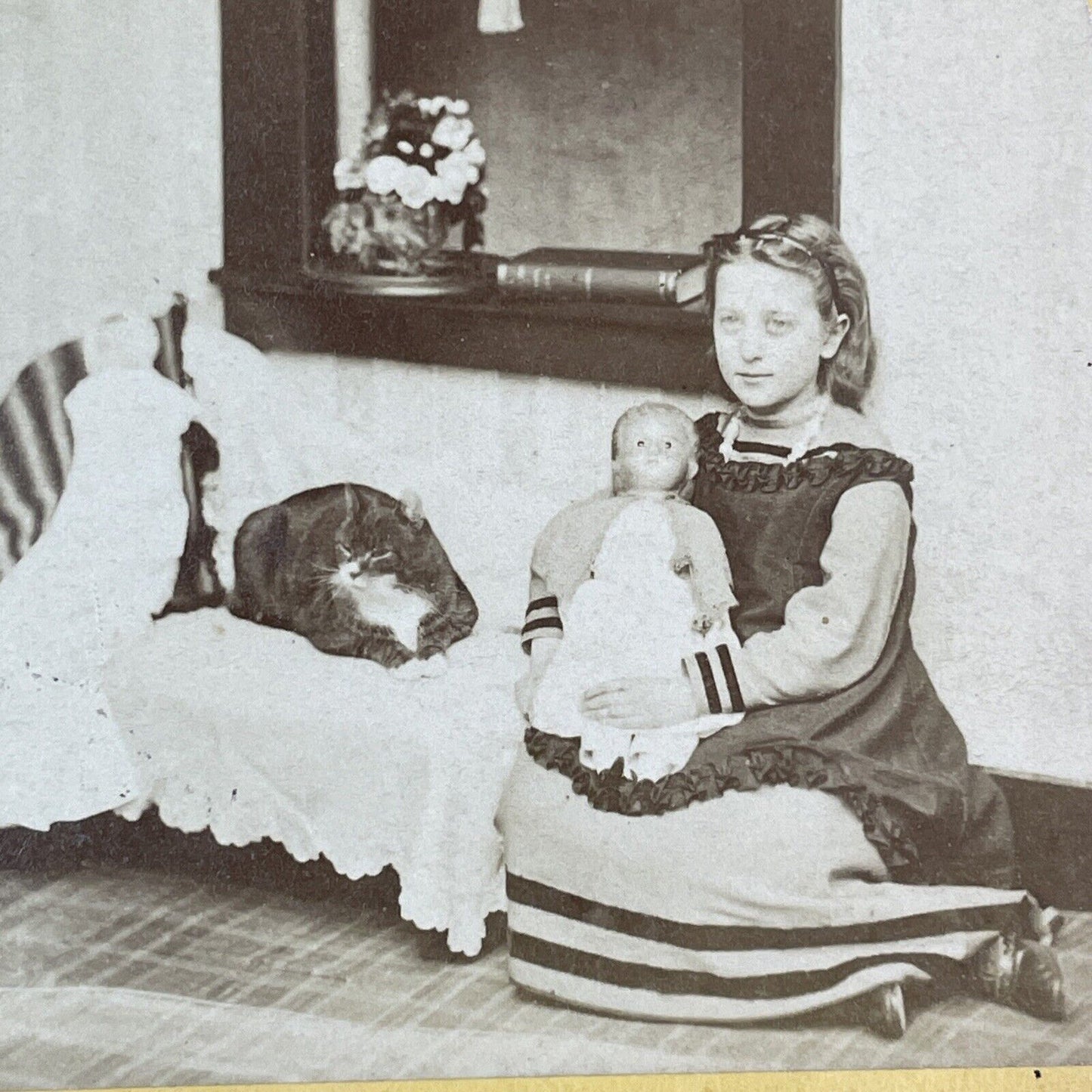 Child With Her Doll & Large Cat Stereoview Near Dumbwaiter Antique c1872 X1896