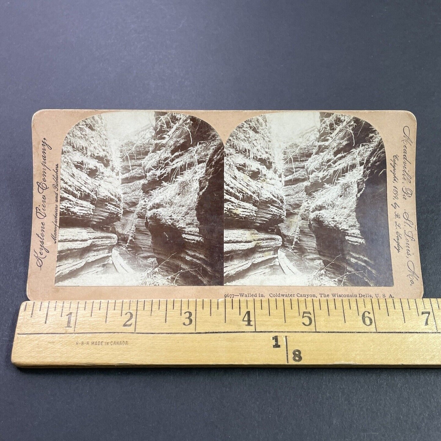 Antique 1899 Wisconsin Dells Canyon Gorge Stereoview Photo Card P3804