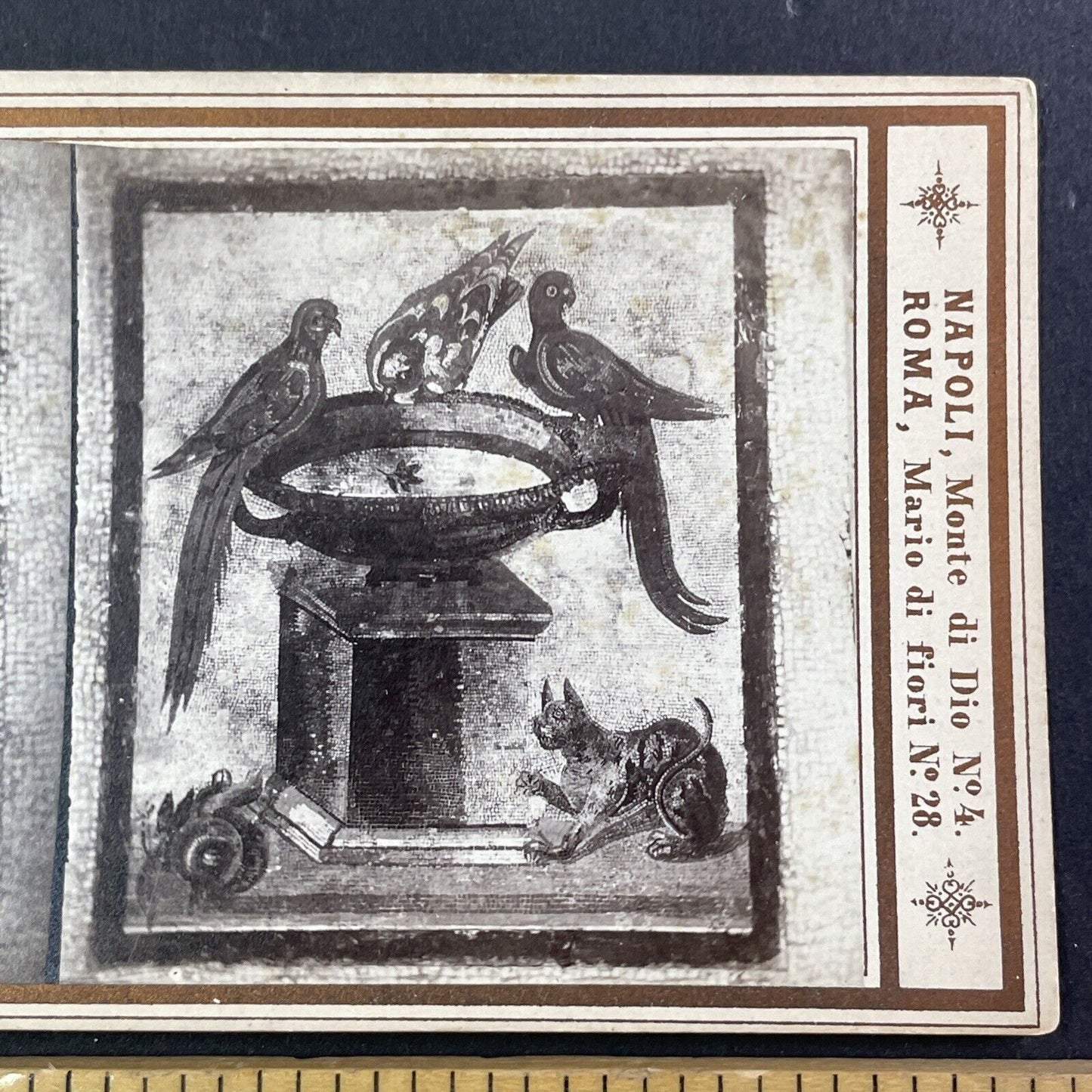 Parrots Drinking At Fountain Stereoview Pompeii Art Sommer & Behles c1870 X3746