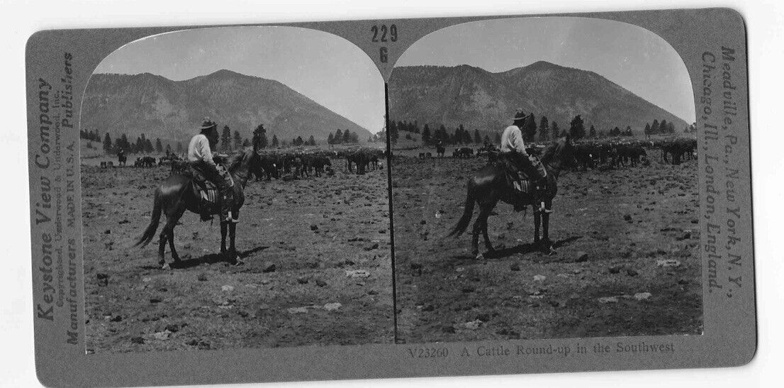 Antique 1898 Cowboy Cattle Round-Up Arizona United States Photo Card P004