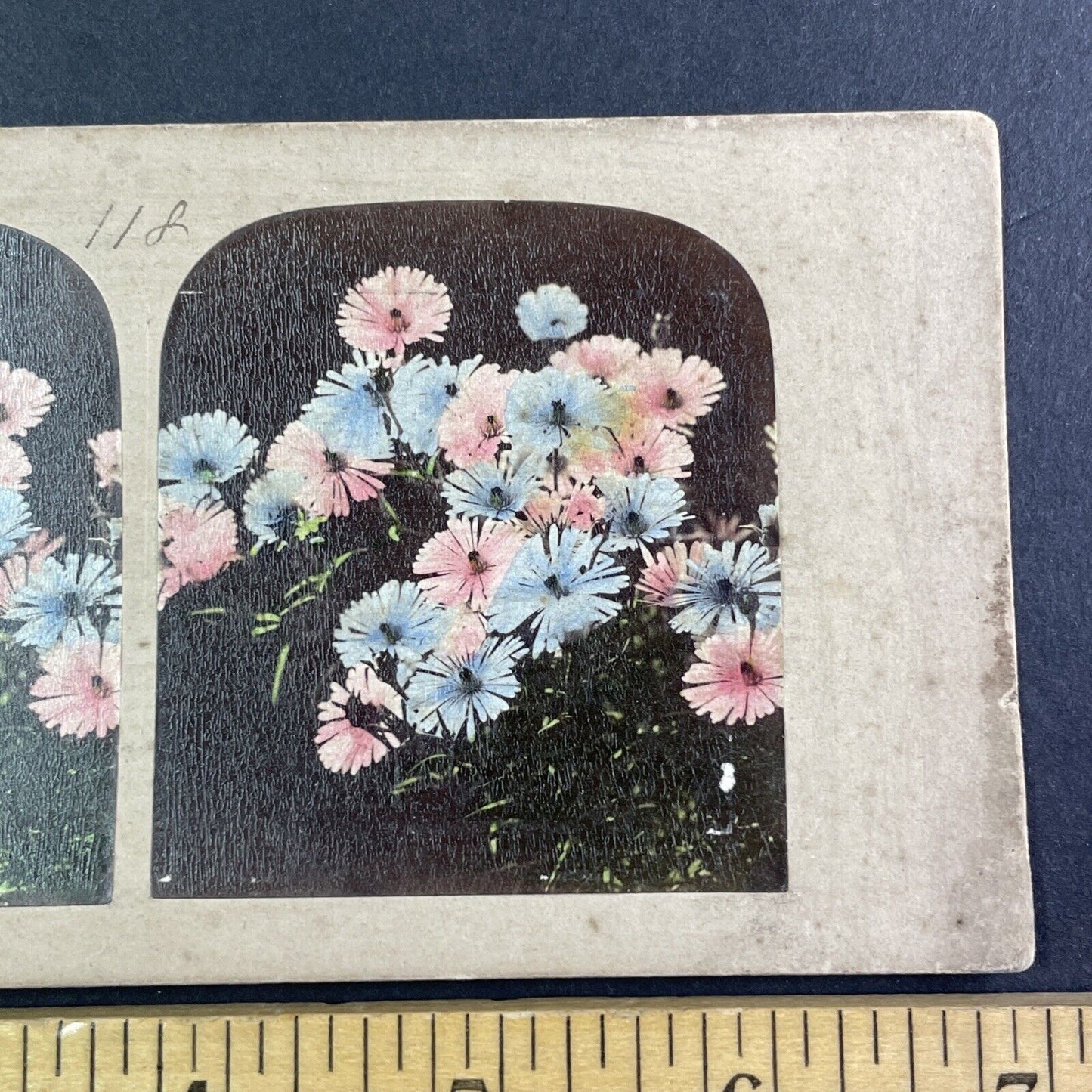 Hand-Colored Flowers Stereoview attributed to James Robinson Antique c1859 Y1383