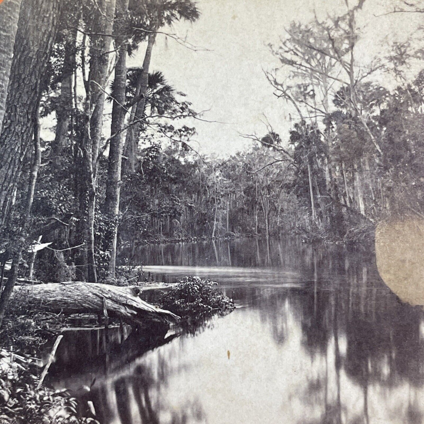 View from Sharpes Ferry Bridge Florida Stereoview E&HT Anthony c1869 X3858