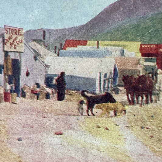 Antique 1905 Bennett Gold Mining Boom Town BC Canada Stereoview Photo Card P3315