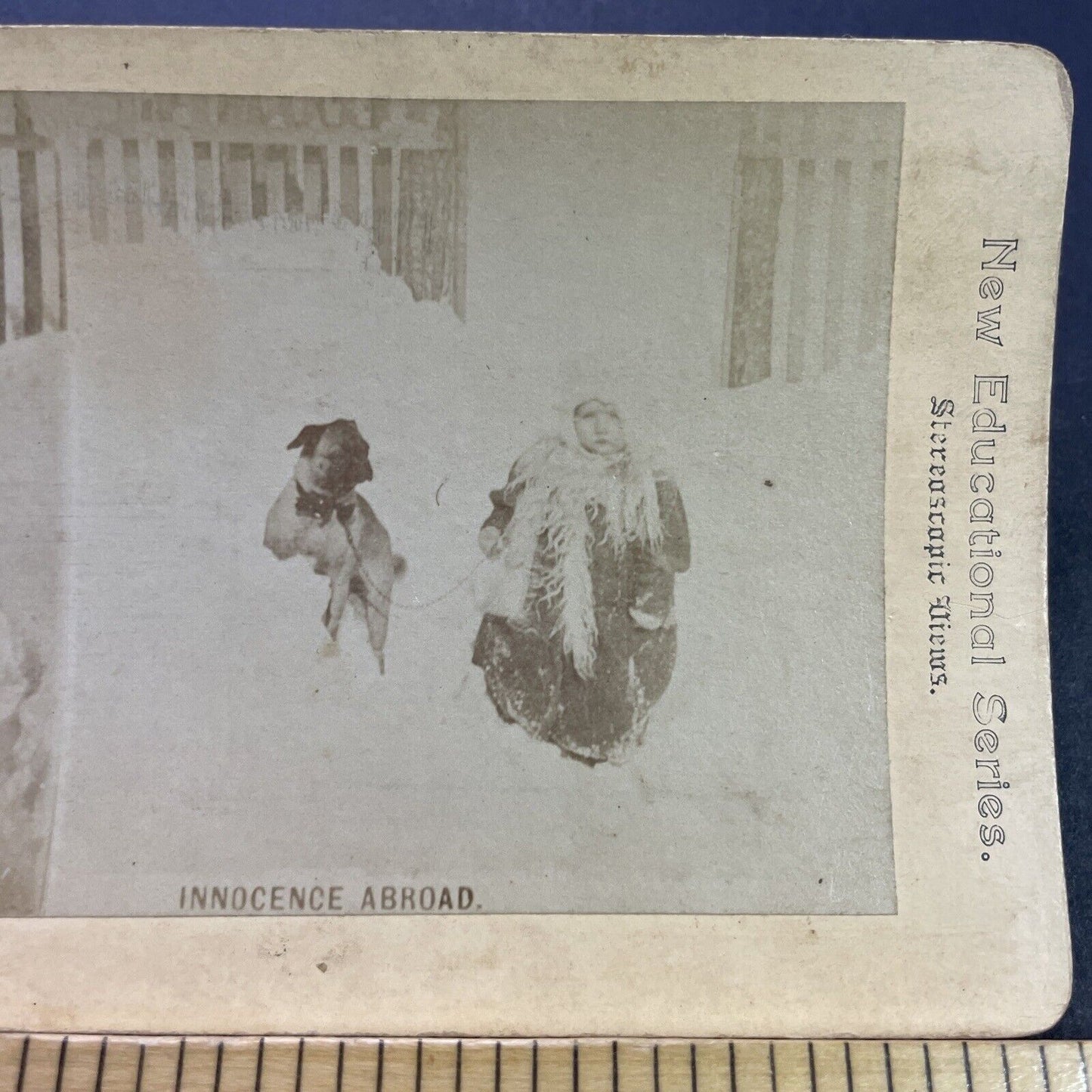 Antique 1870s Child And Pug Dog In Snowstorm Stereoview Photo Card P3538