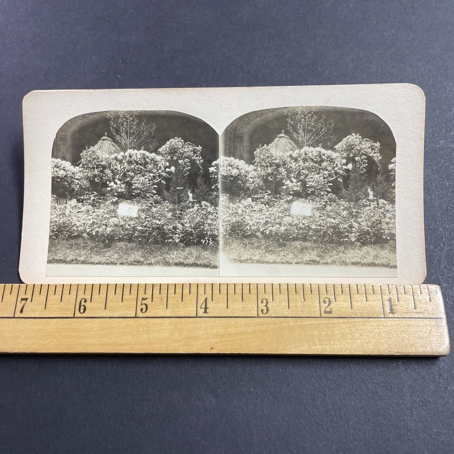 Antique 1870s Madison Square Garden Floral Show Stereoview Photo Card P856-09