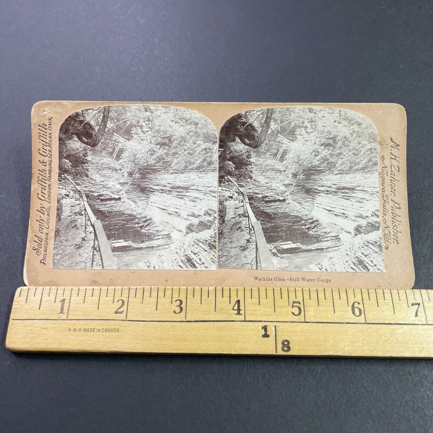 Antique 1880s Watkins Glen Gorge New York Stereoview Photo Card P3866