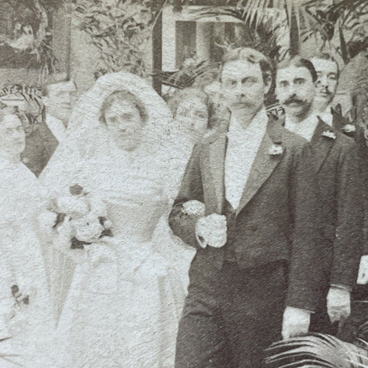 Antique 1897 Victorian Bride & Groom Presented Stereoview Photo Card P2966
