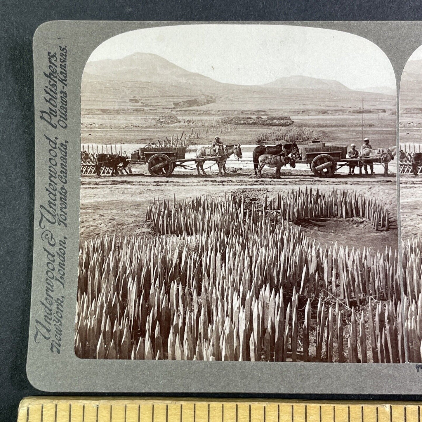 Russian Spikes Defensive Line Stereoview Russo-Sino War Antique c1905 X4201