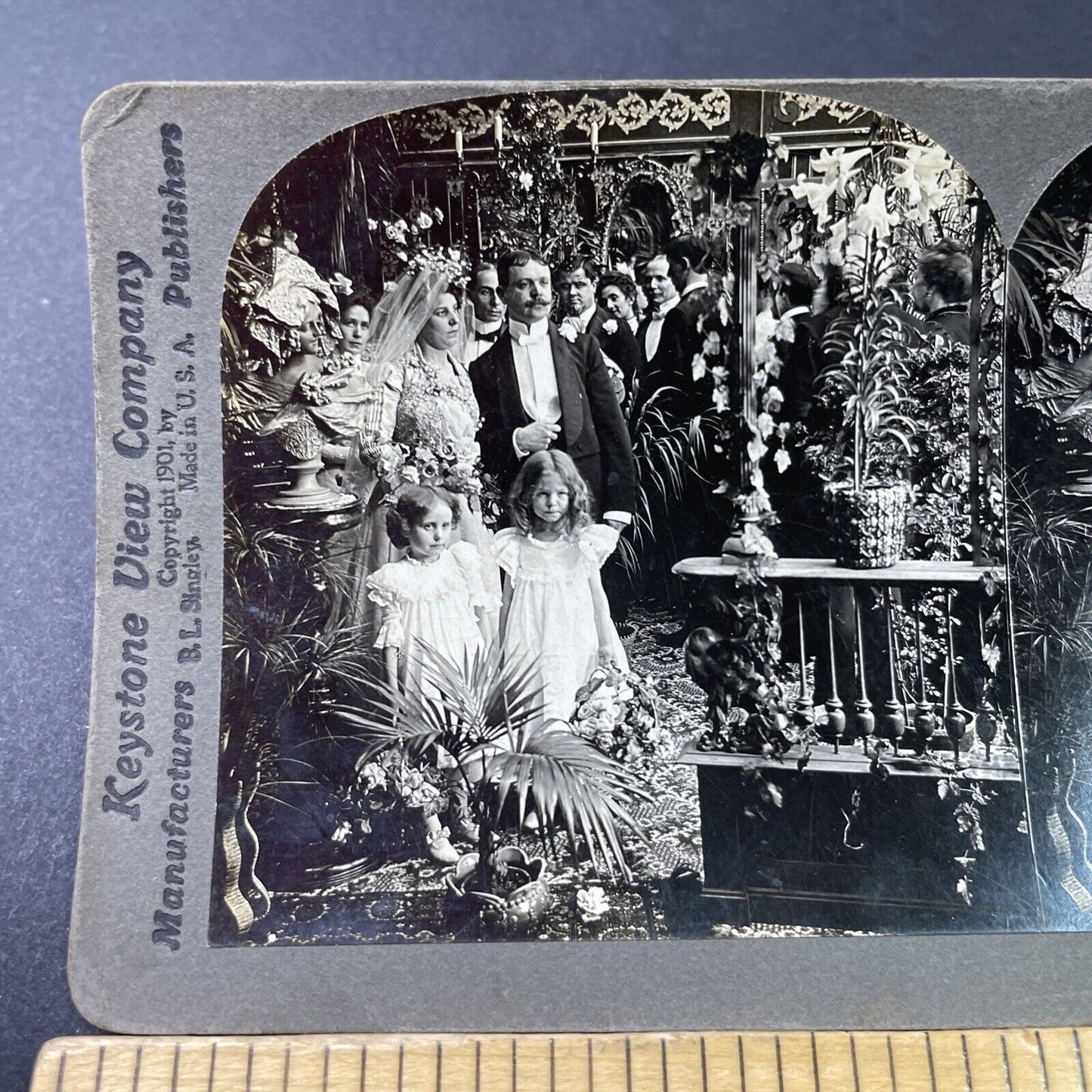 Antique 1901 Bride Groom & Flower Girls Stereoview Photo Card P2848