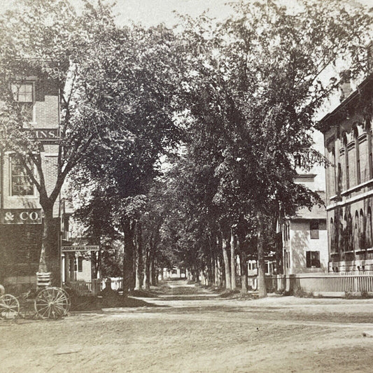 Antique 1860s Winter Street Keene New Hampshire Stereoview Photo Card V2078