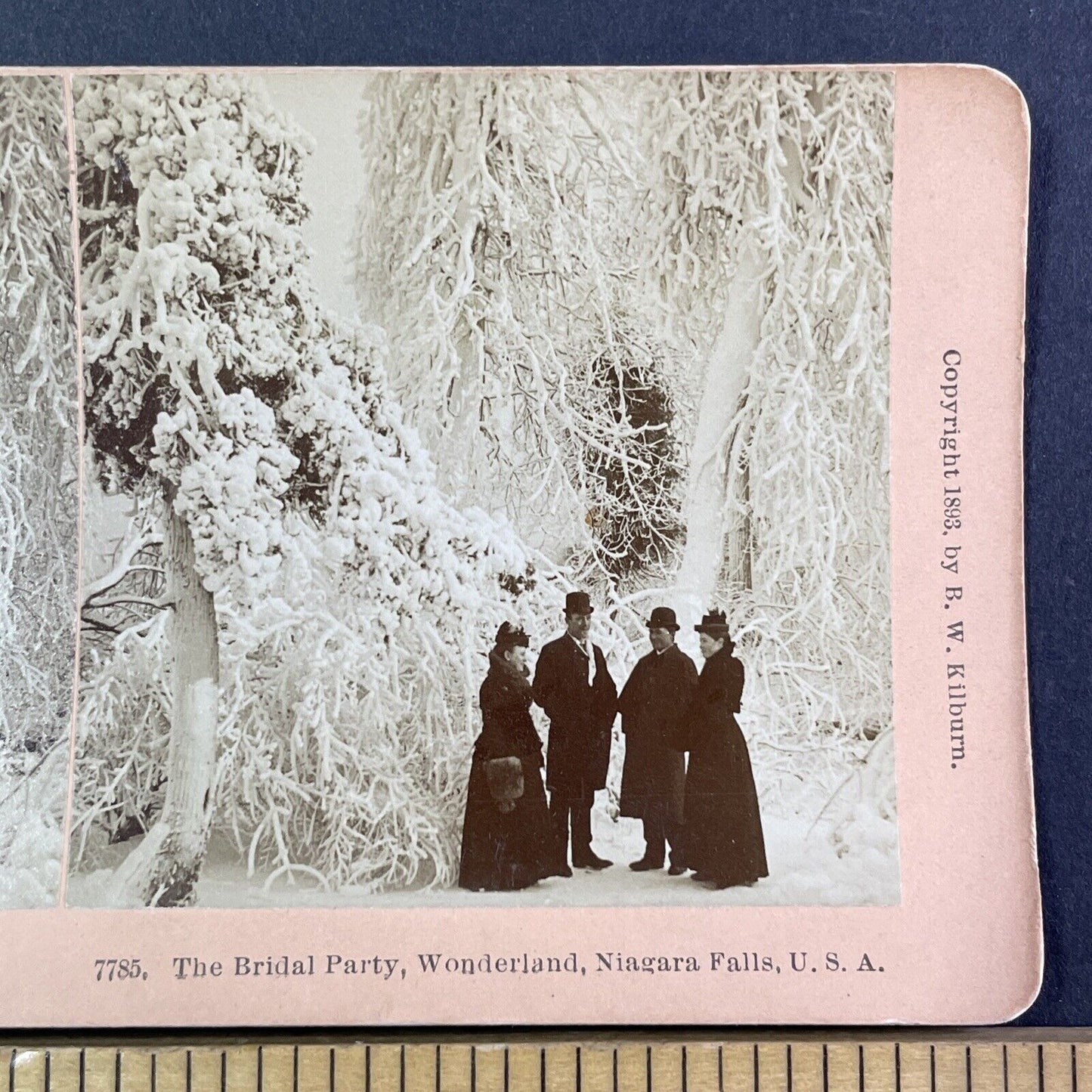 Tourists Visit Frozen Niagara Park for a Wedding Stereoview Antique c1893 Y1861