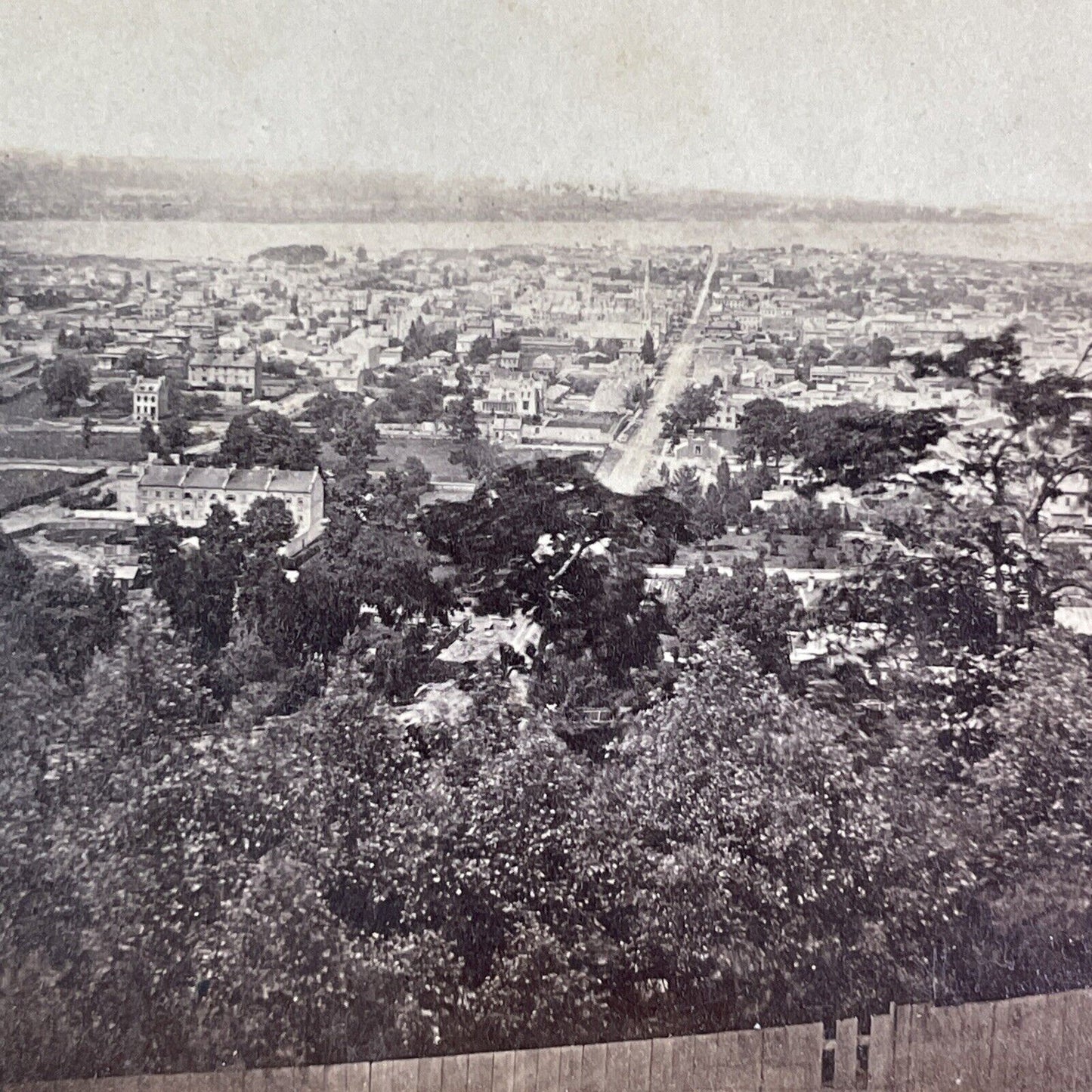 Hamilton Ontario From Escarpment Line Stereoview City View Antique c1860s X4181