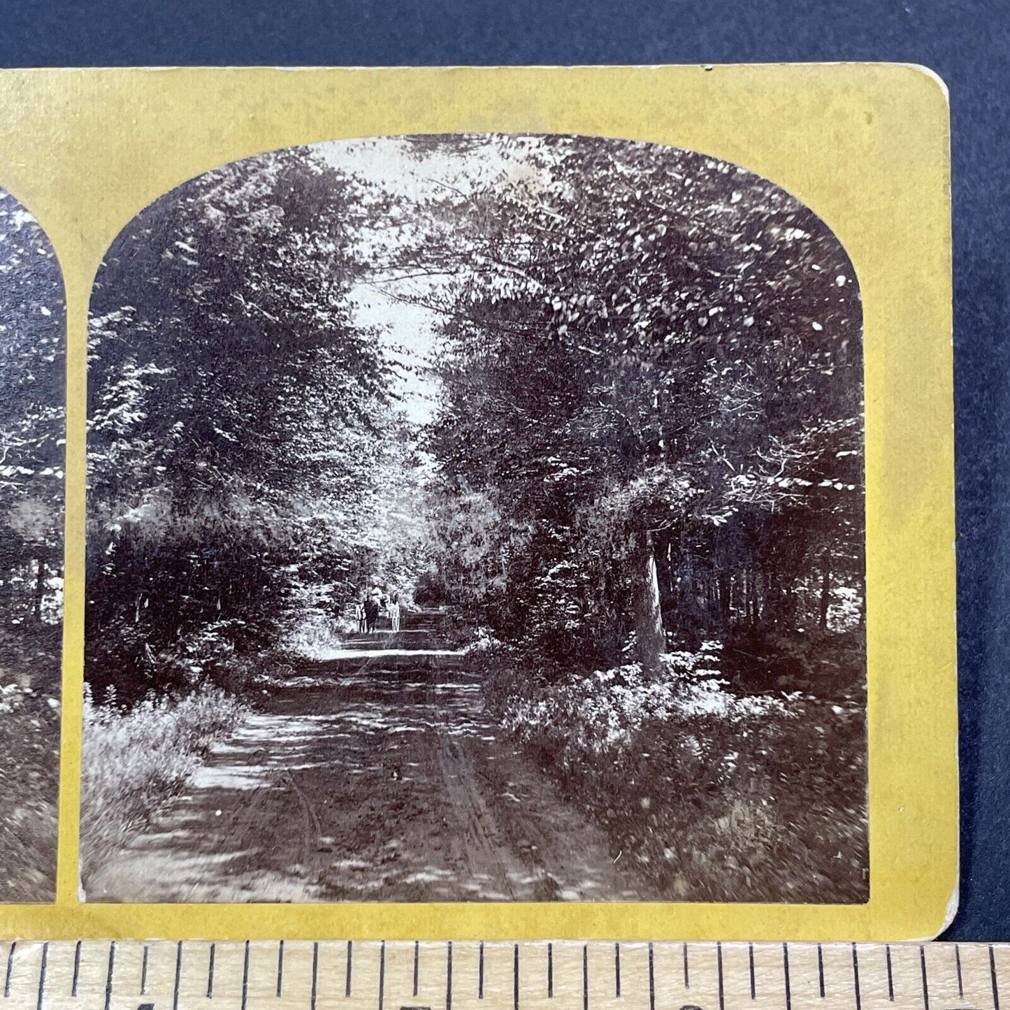 Antique 1870s The Dinsmoor Woods Keene New Hampshire Stereoview Photo Card V2084