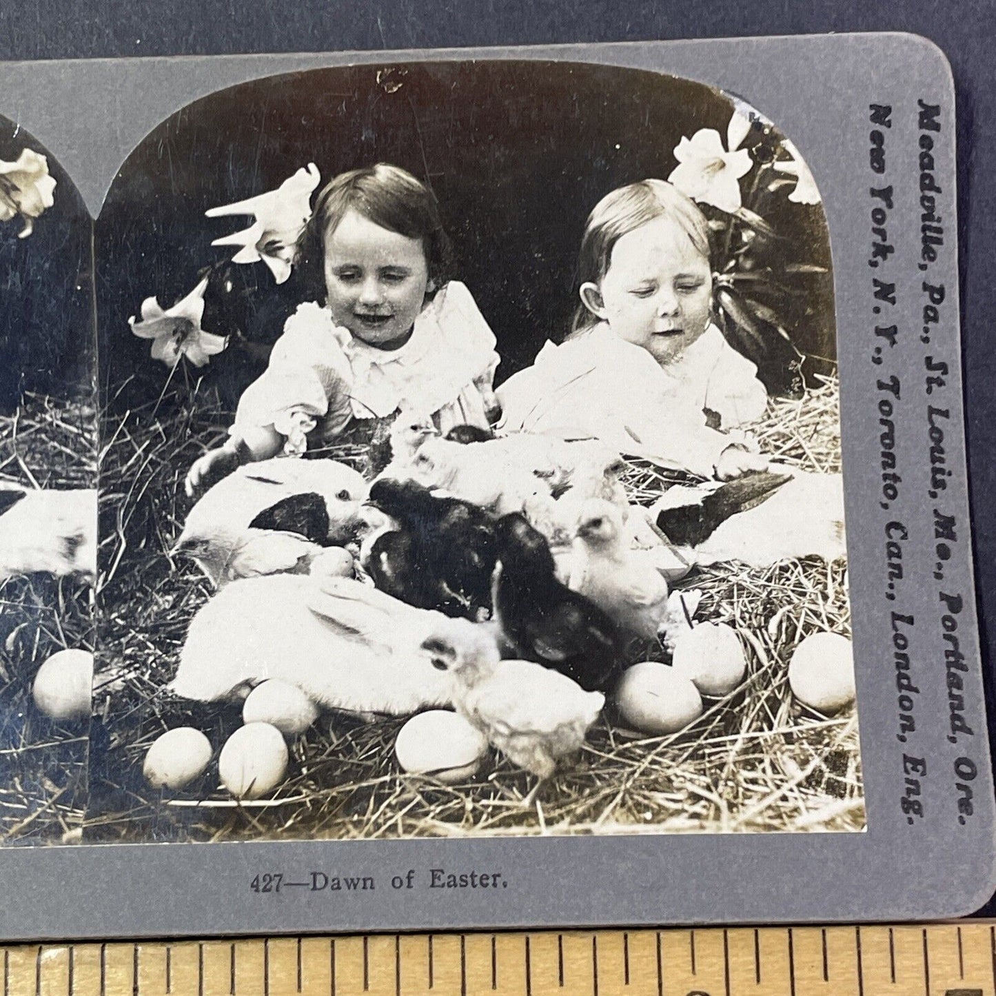 Easter Bunnies Laying Eggs Stereoview Happy Children Antique c1907 X2761