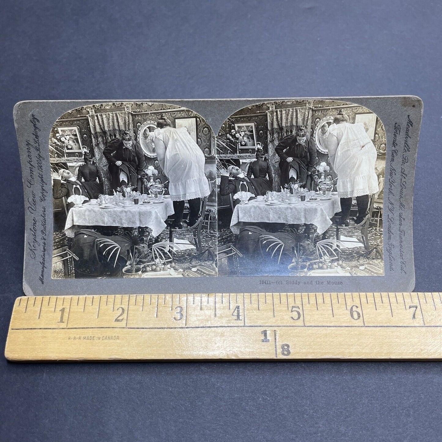 Antique 1900 Women Panic After Seeing A Mouse Stereoview Photo Card P1985