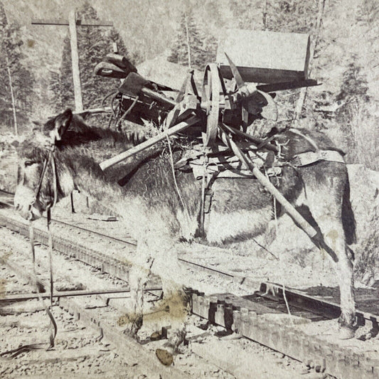 Antique 1894 Donkey Hauls Railroad Construction Tools Stereoview Photo Card 4335