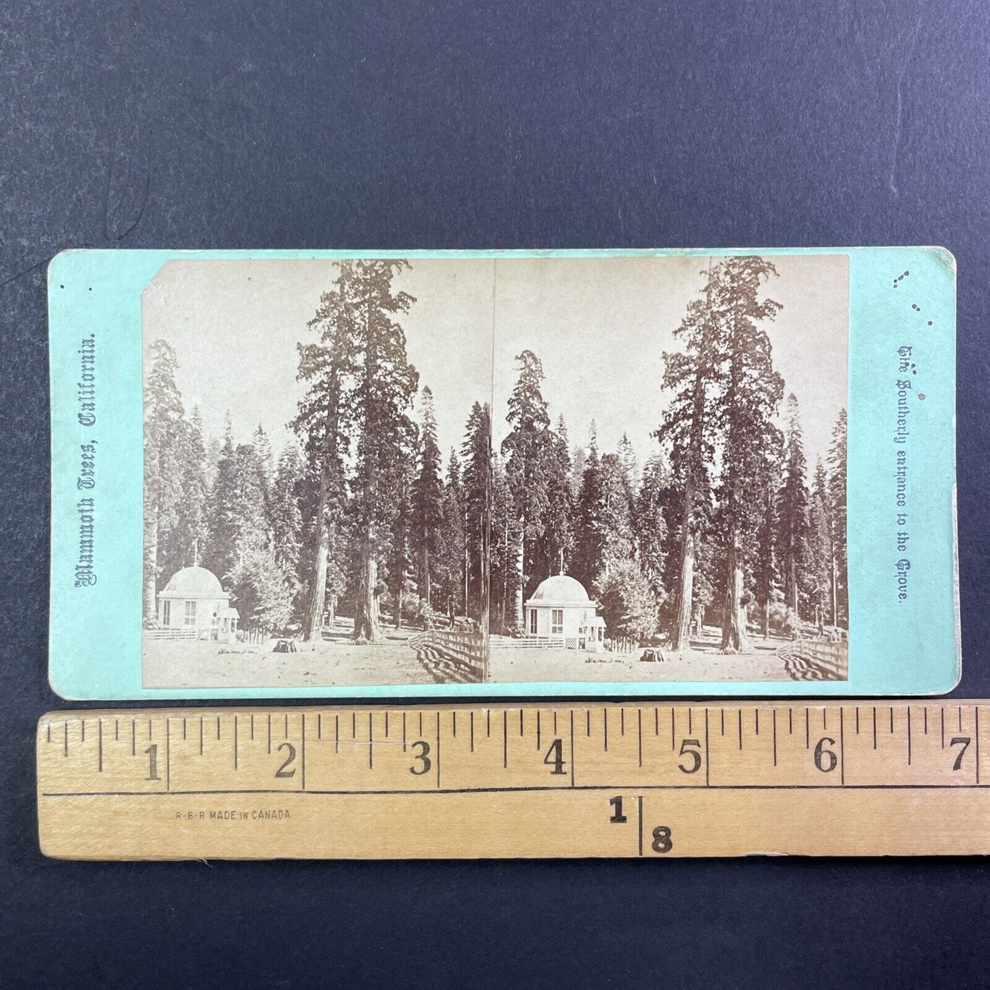 Big Trees Calaveras Arnold California Stereoview E&HT Anthony Antique 1870 X3818