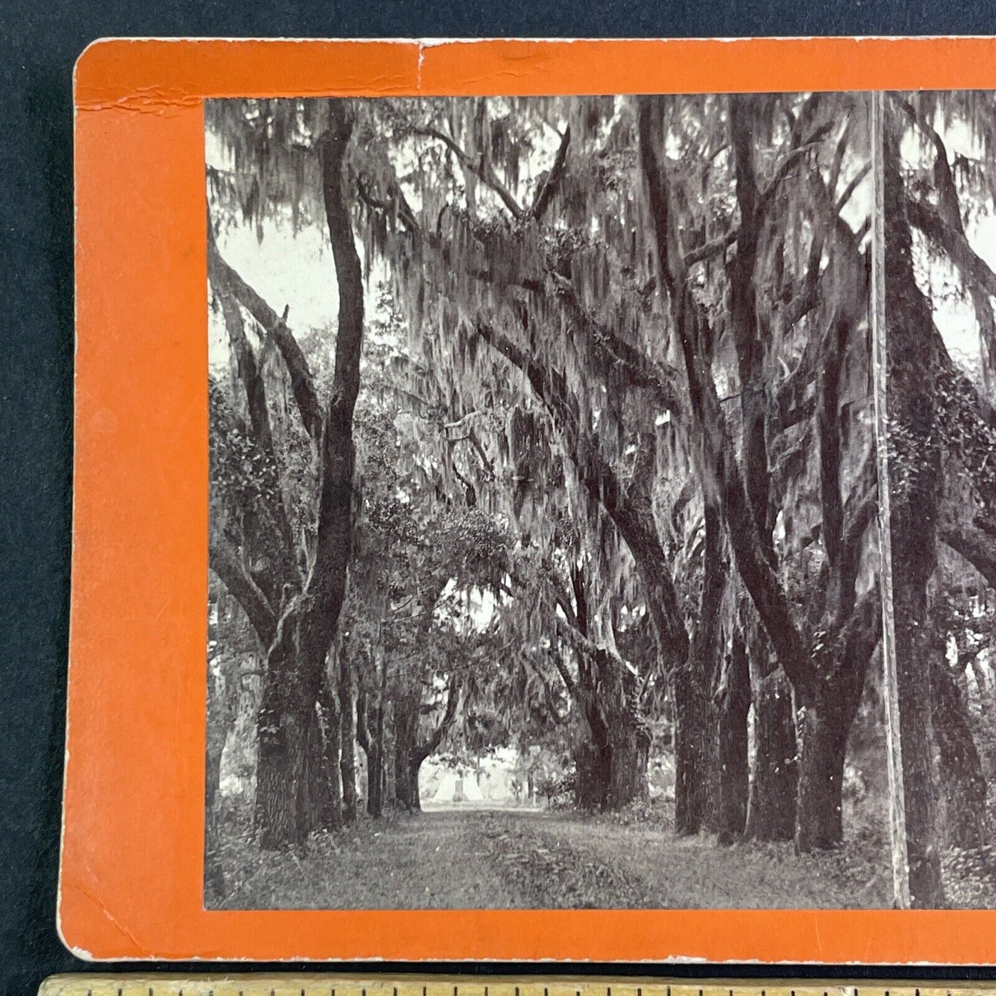 Bonaventure Cemetery Savannah GA Stereoview JA Palmer Antique c1866 X3280