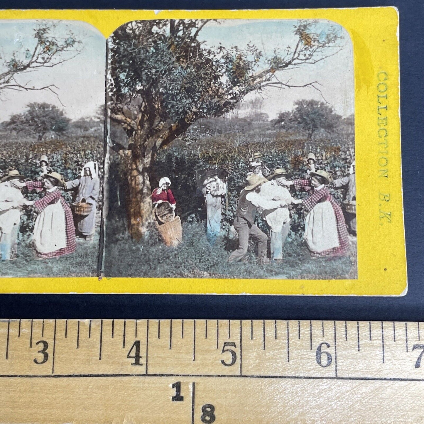 Antique 1880's Arresting A Vegetable Thief Stereoview Photo Card PC817