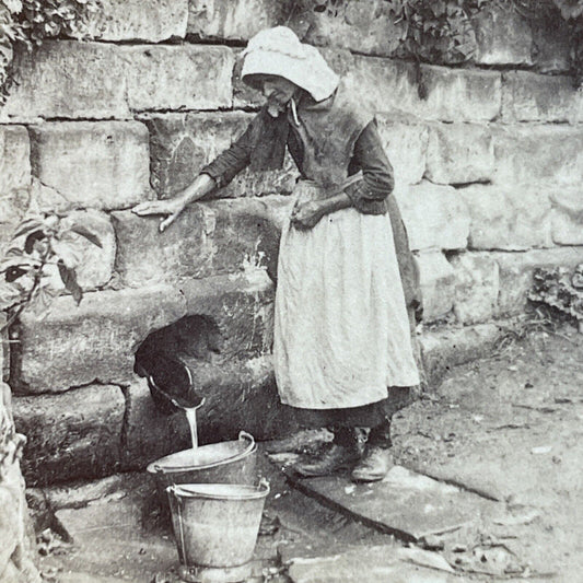 Antique 1890s Woman Collects Water Switzerland Stereoview Photo Card P3809