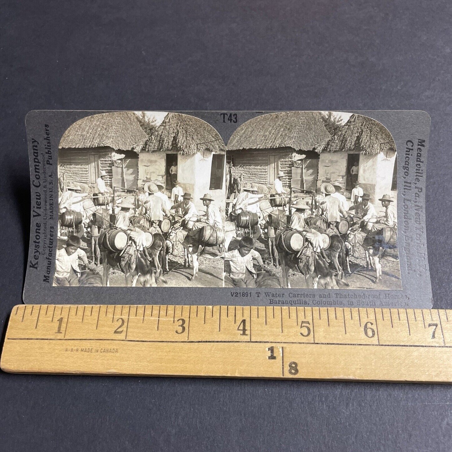 Antique 1910s Donkeys Hauling Water In Colombia Stereoview Photo Card P4499