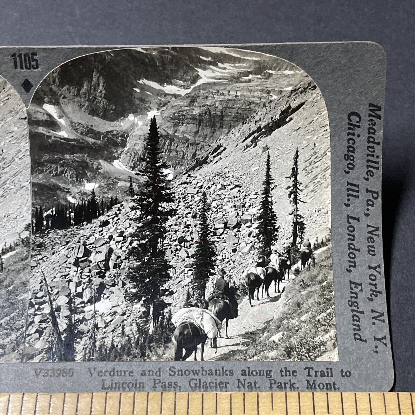 Antique 1910s Horses In Glacier National Park Montana Stereoview Photo Card 2654