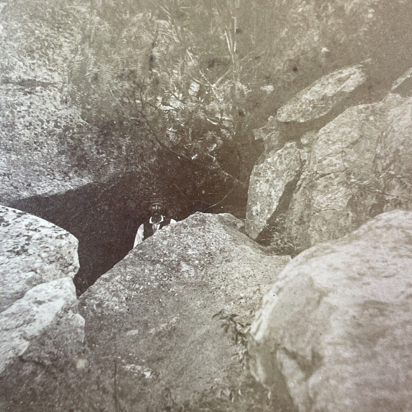 George H. Scripture Self-Portrait Mount Monadnock Stereoview c1860s Y1433