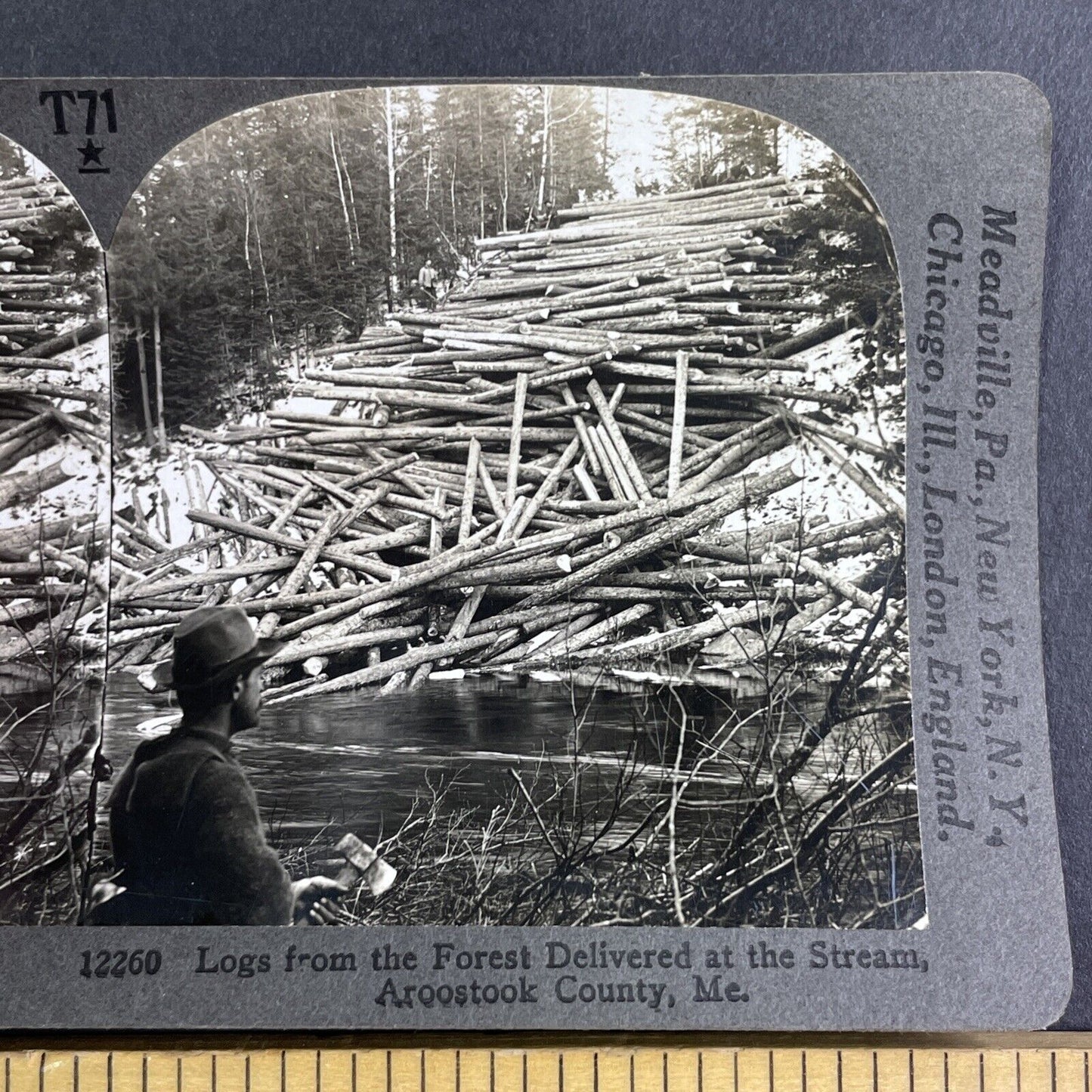 Heavy Tree Logging and Lumberjacks Stereoview Aroostook Maine c1909 Y1170