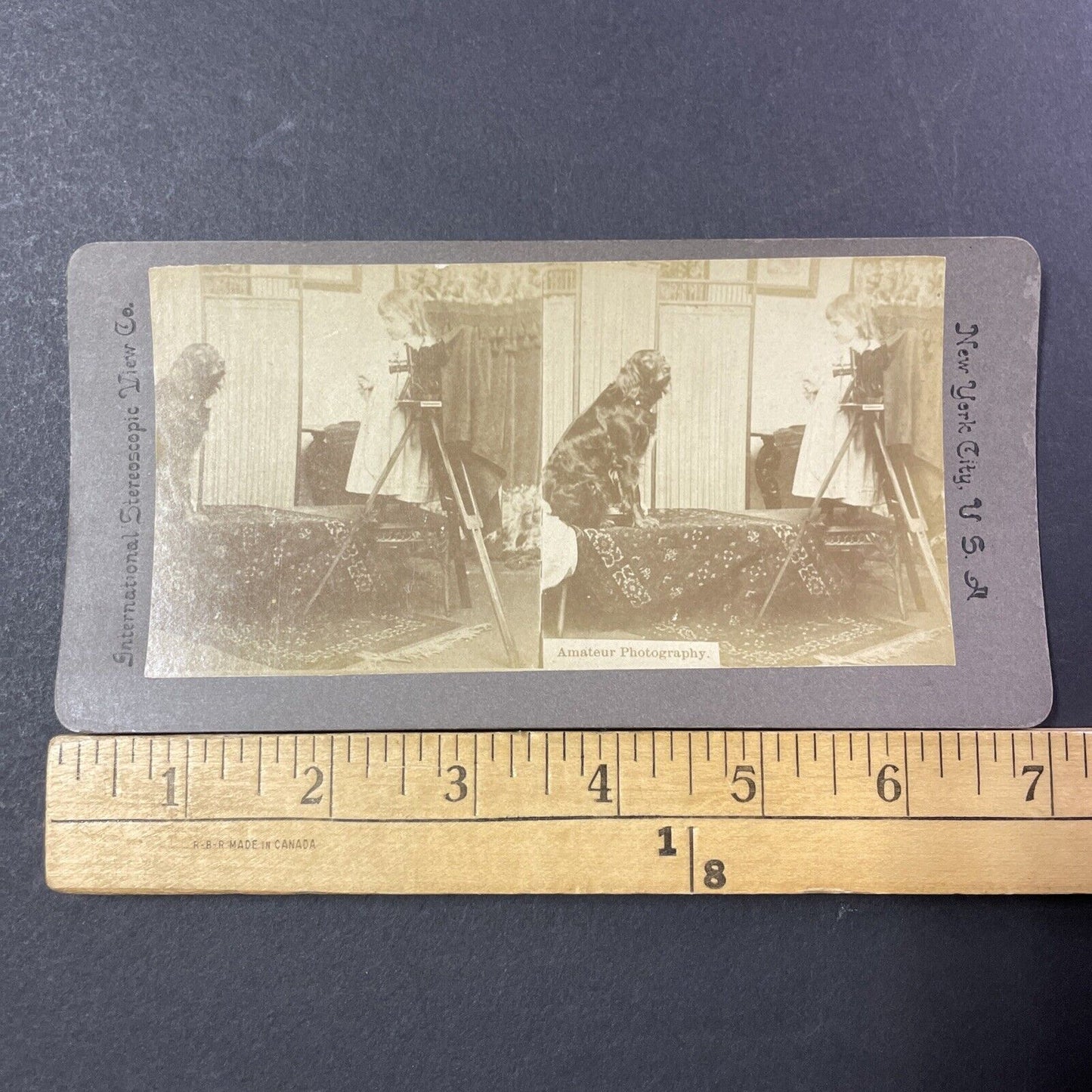 Camera Photography Girl Taking Photo Stereoview Card Antique c1899 X1229