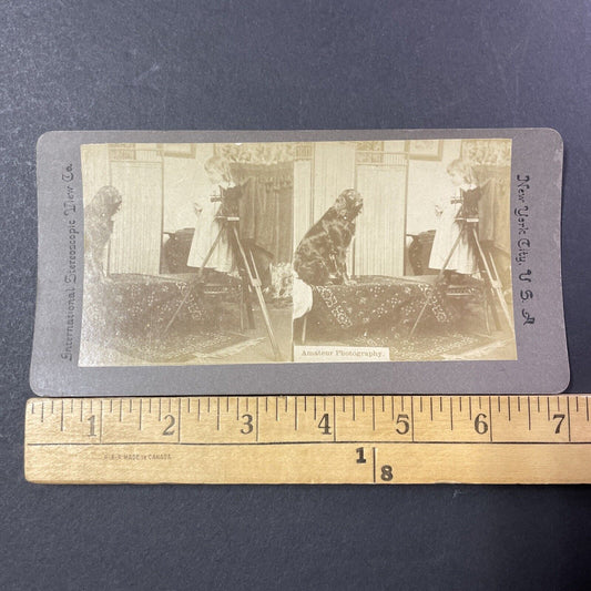 Camera Photography Girl Taking Photo Stereoview Card Antique c1899 X1229