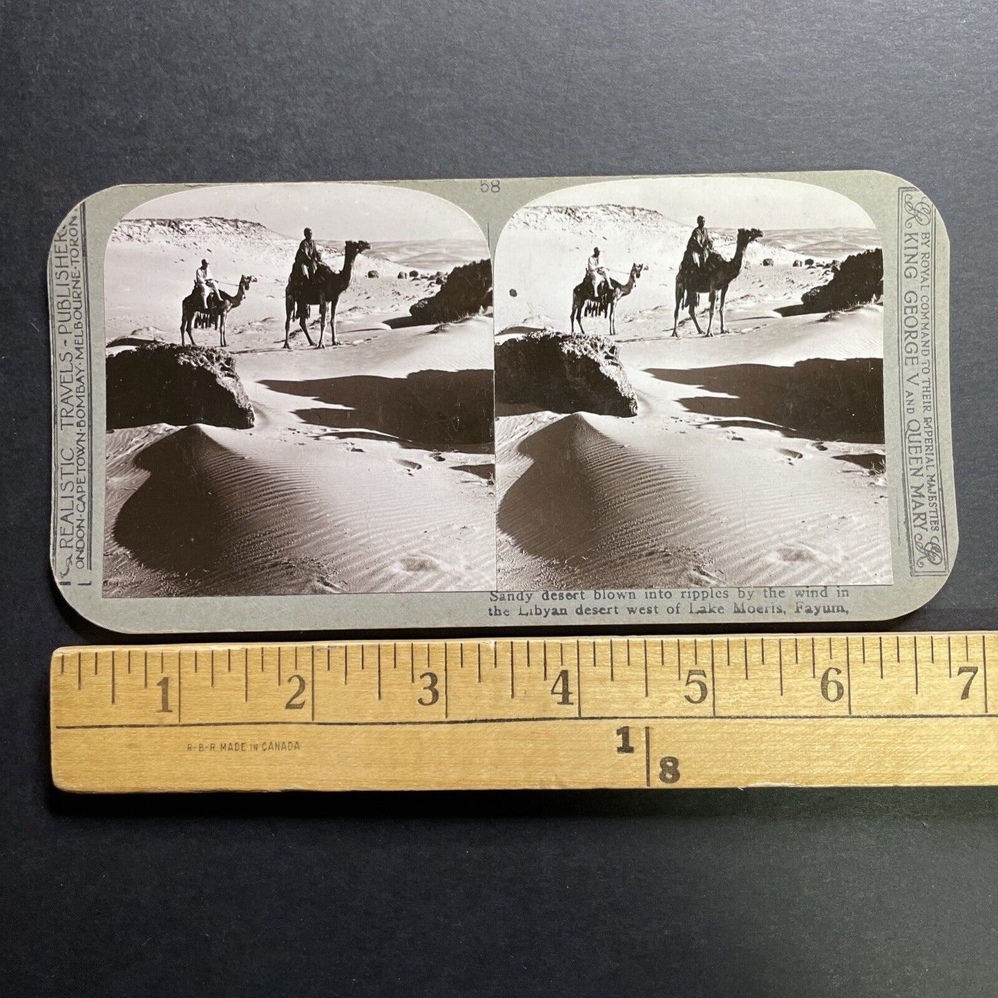 Antique 1890s Bedouin Travellers On Camel Libya Stereoview Photo Card P1300