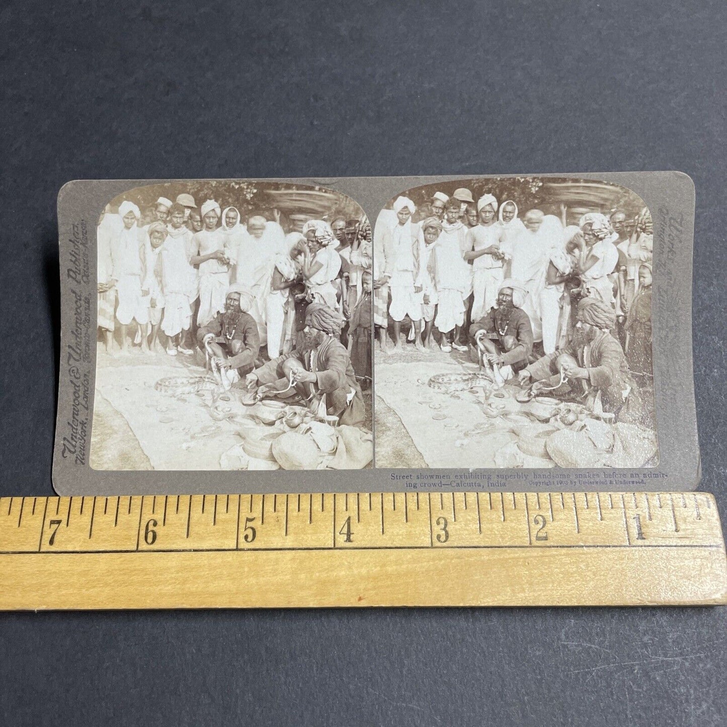 Antique 1903 Snake Charmers Hold Poisonous Snakes Stereoview Photo Card P5653