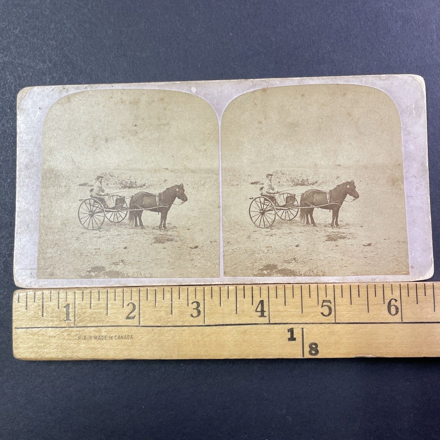 Boston Or Isles Of Shoals Stereoview Pony Wagon Photo Card Antique 1860s X875