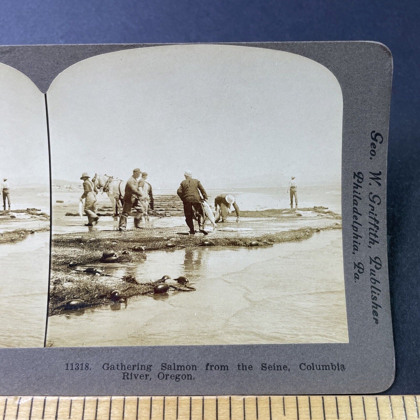 Antique 1906 Salmon Fishing Columbia River Oregon Stereoview Photo Card P3068
