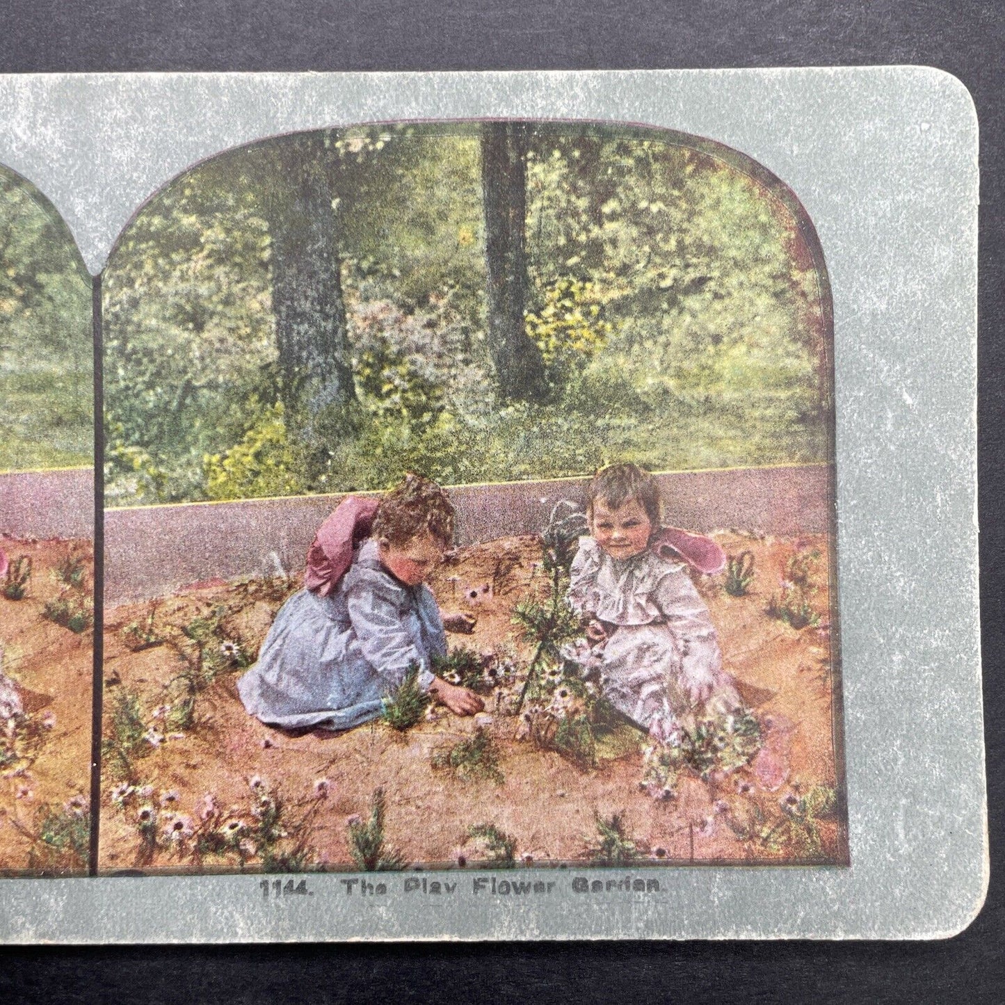 Antique 1898 Children Playing In Flower Garden Stereoview Photo Card P580-046