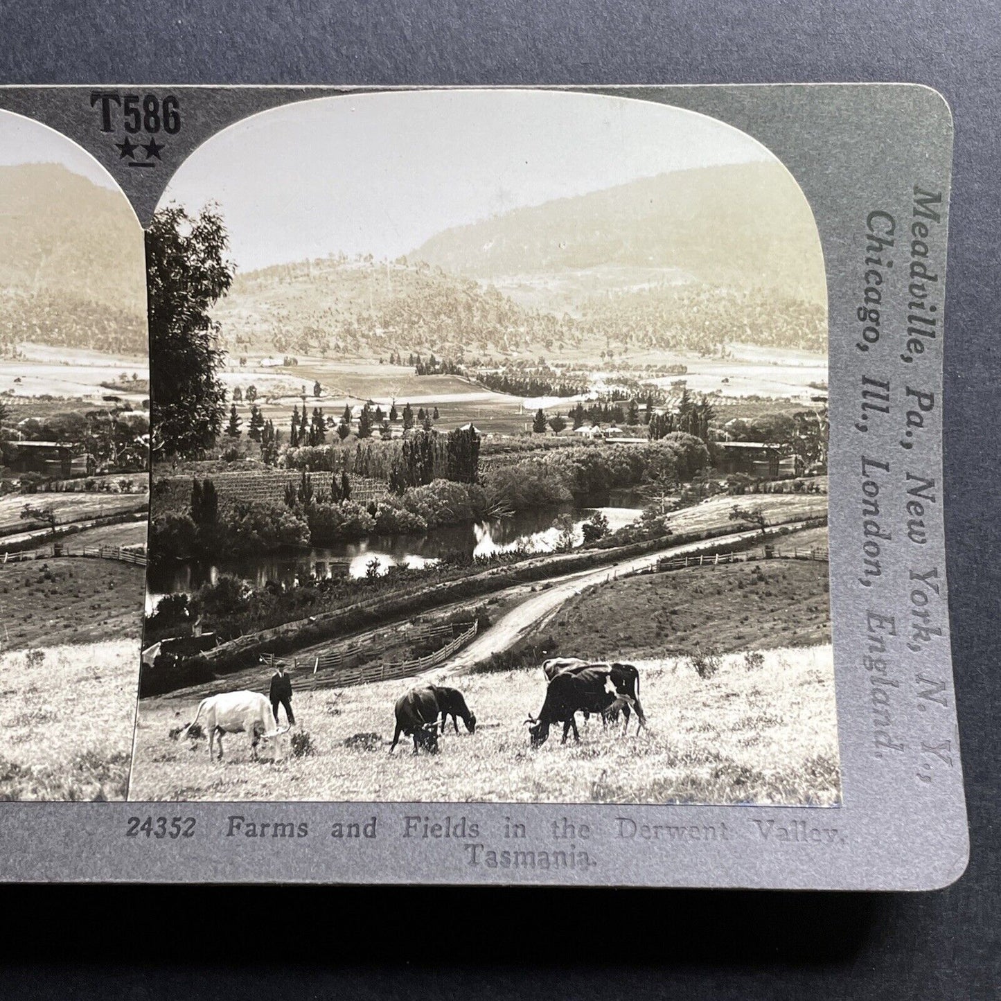 Antique 1918 Farms In Derwent Valley Tasmania Stereoview Photo Card P1771