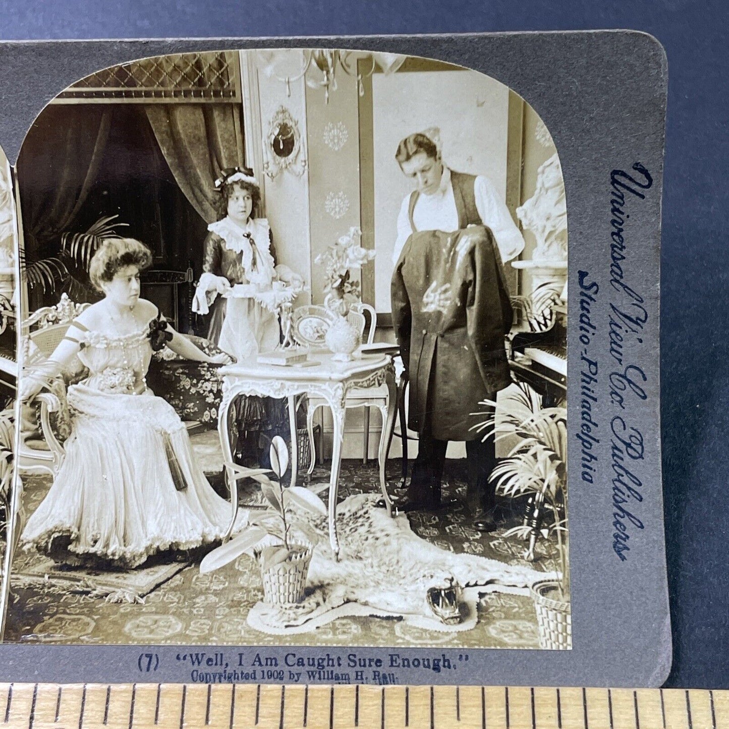 Antique 1902 Cheetah Skin Rug In Parlor Stereoview Photo Card P2908