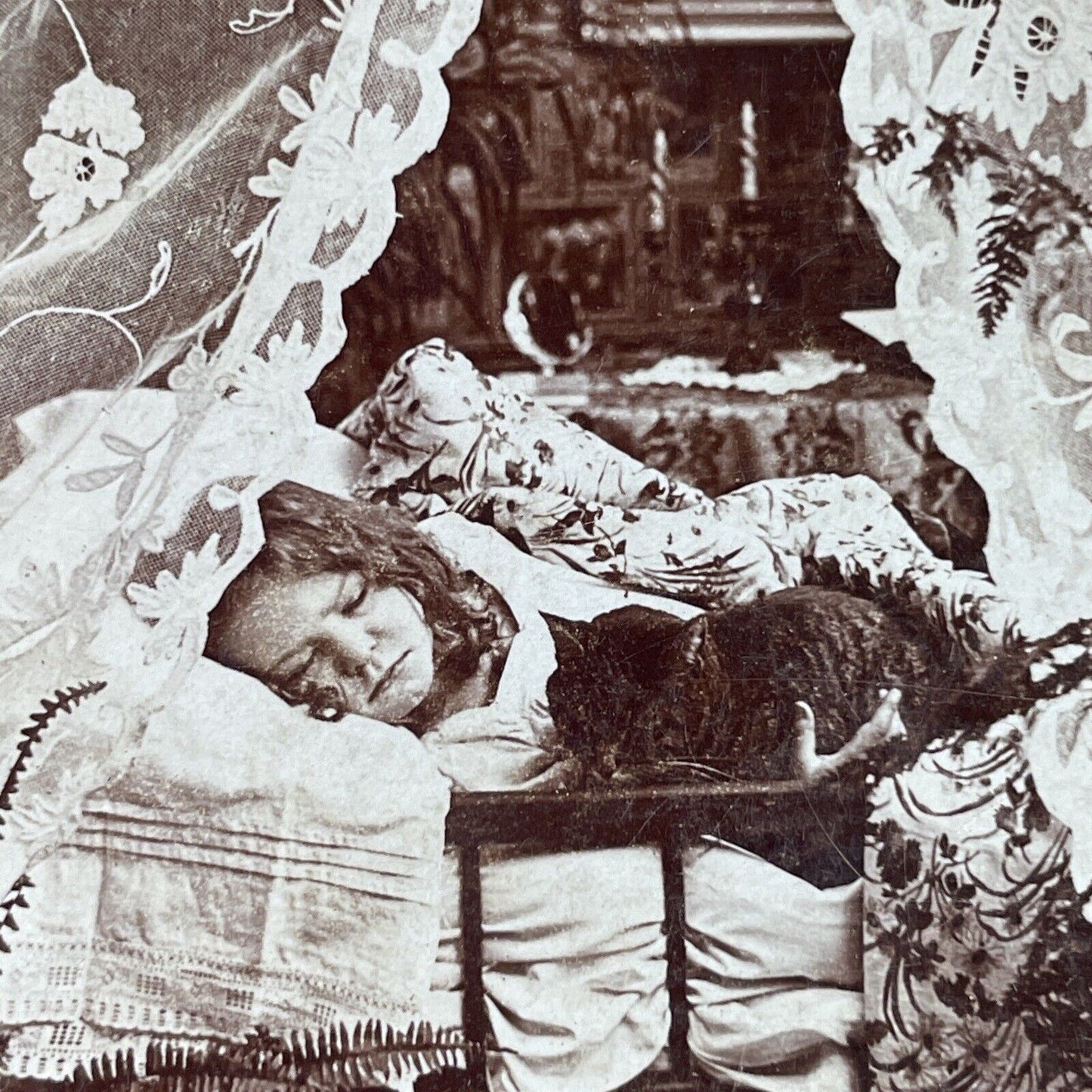 Antique 1901 Child Falls Asleep With Cat In Bed Stereoview Photo Card P3081