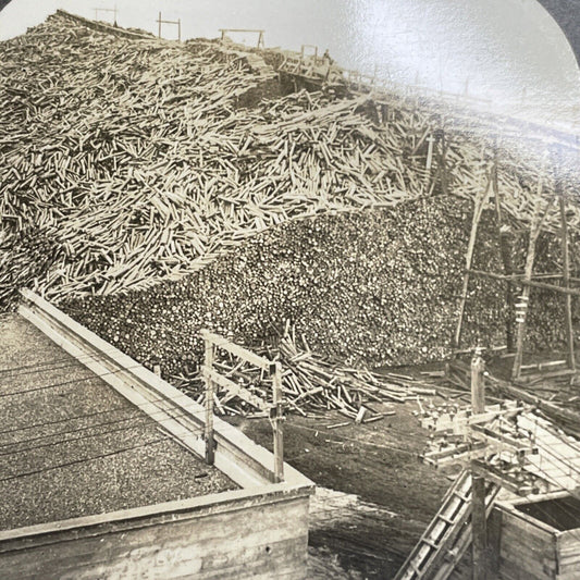 Antique 1908 Logging Mill Thunder Bay Ontario Stereoview Photo Card PC834