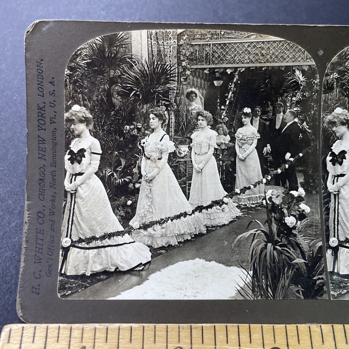 Antique 1903 Beautiful Bridesmaids At Wedding Stereoview Photo Card P3388