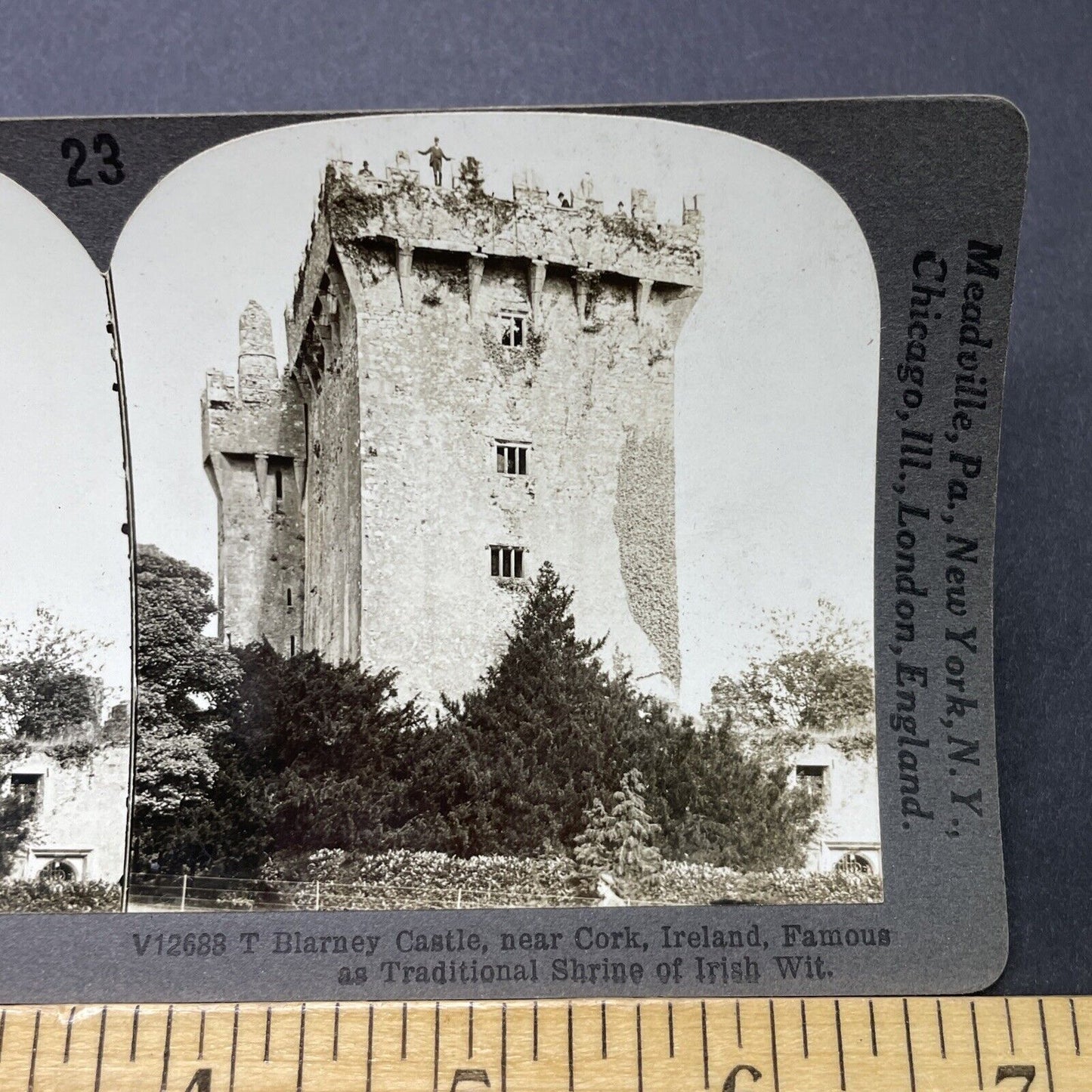 Antique 1910s Blarney Castle Dromderrig Ireland Stereoview Photo Card P2816