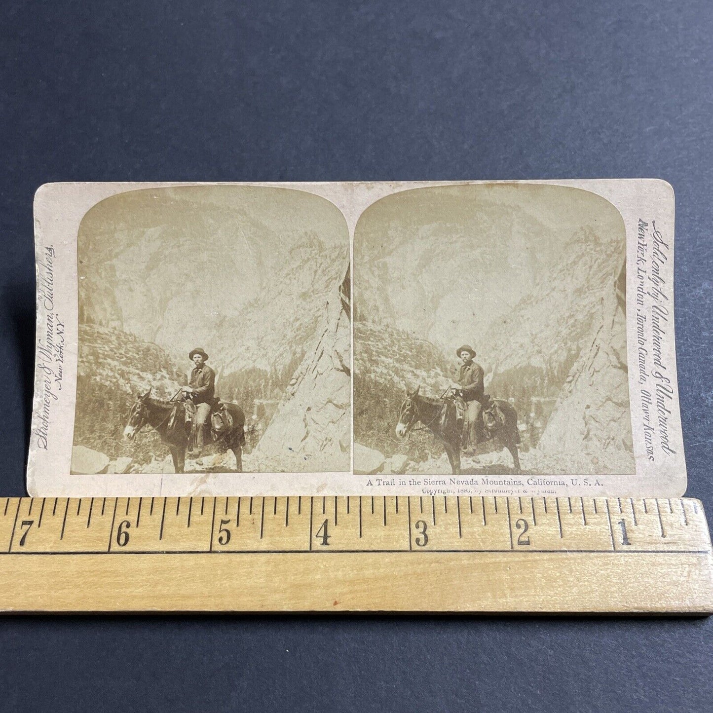 Antique 1895 Sierra Nevada Mountains California Stereoview Photo Card P4952