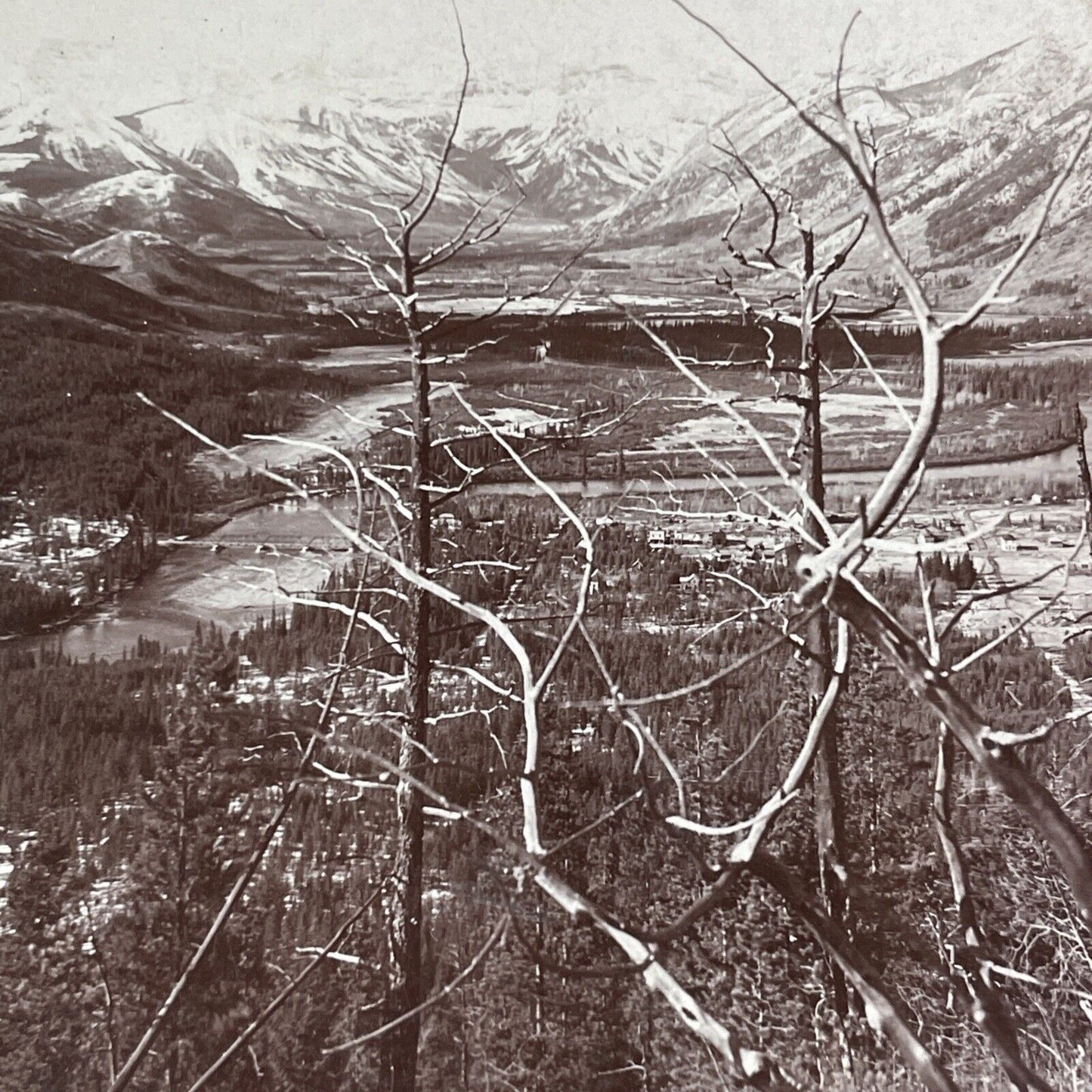 Bow River Valley Banff Alberta Canada Stereoview B.L. Singley c1903 Y856