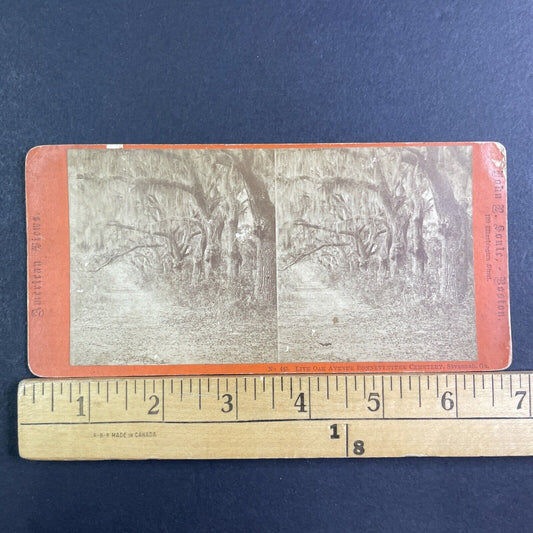 Bonaventure Cemetery Savannah GA Stereoview JP Soule Antique c1866 X3863